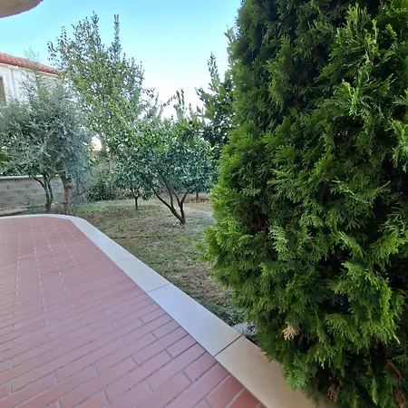 Apartment Maria Near Airport Kamez